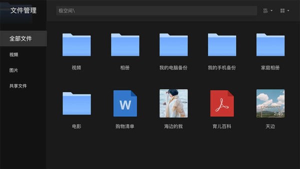 极空间TV版客户端最新版截图5