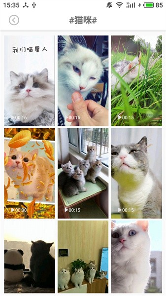 壁纸头像图片大全app截图2