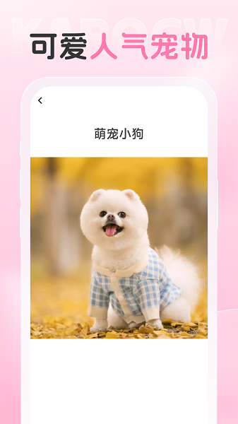 爱炫相机最新版本截图3