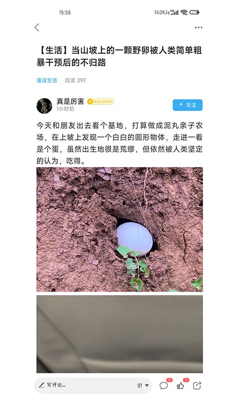 重庆潼南论坛最新发布截图4