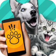 猫狗翻译器中文版(Pet Translator)