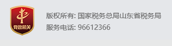 山东省电子税务局app下载