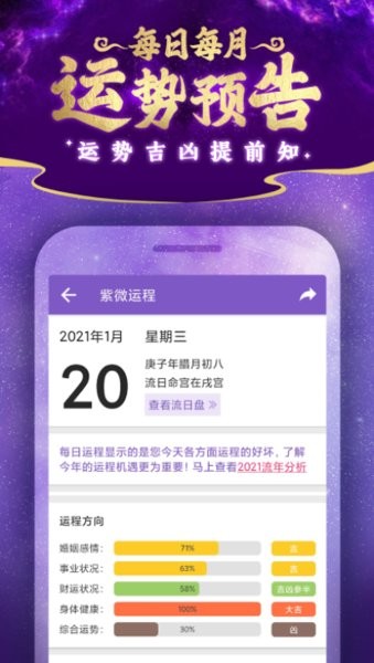 紫微斗数排盘软件截图5