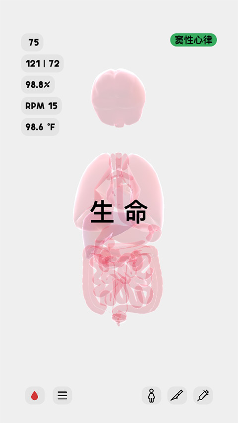 生命人体模拟器中文版截图1