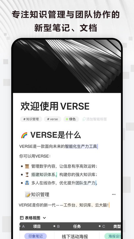 verse文档截图3