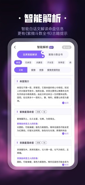 吉真紫微斗数app