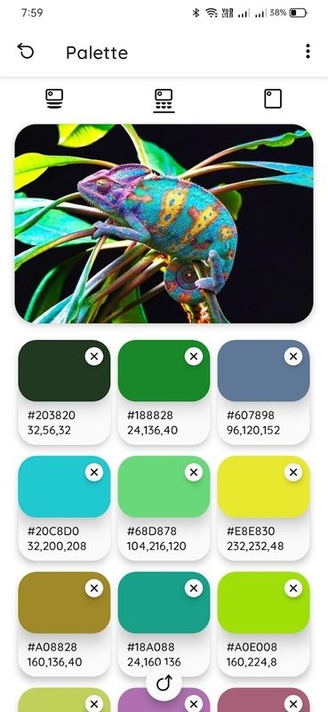 color palette安卓版