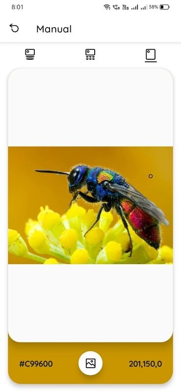 color paletteAPP截图3