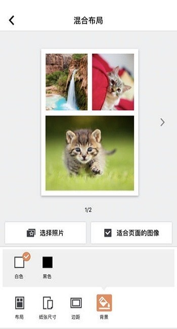 selphy photo layout 证件照截图2