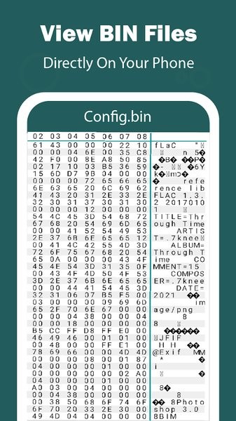 Bin阅读器手机版(Bin File Reader)截图2