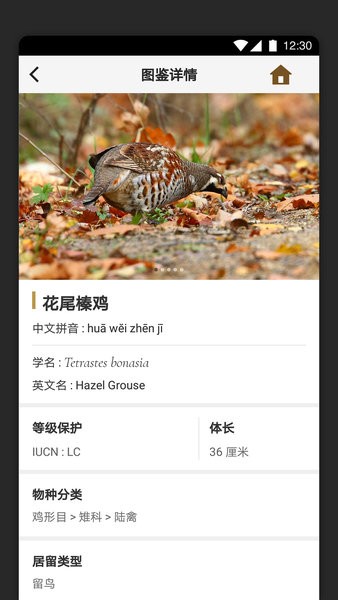 识鸟家最新版
