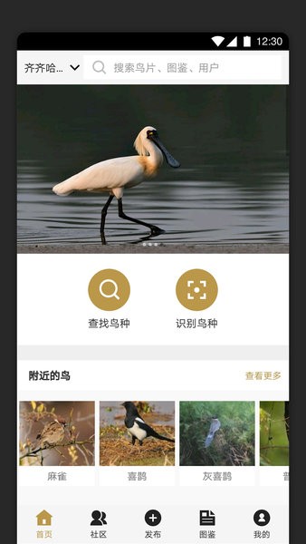 识鸟家截图1