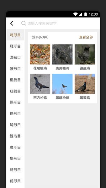 识鸟家截图4