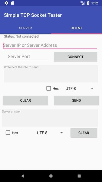 TCP socket调试工具截图1