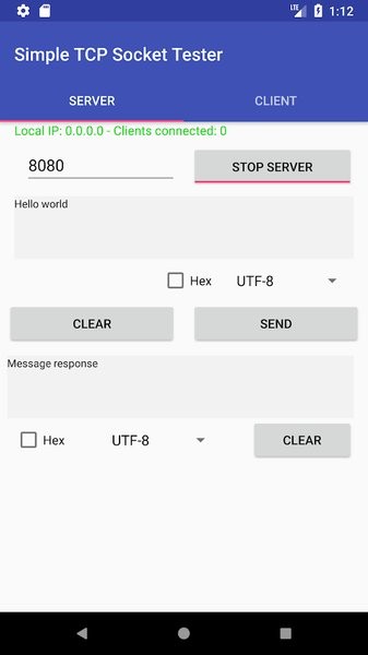 TCP socket调试工具截图2