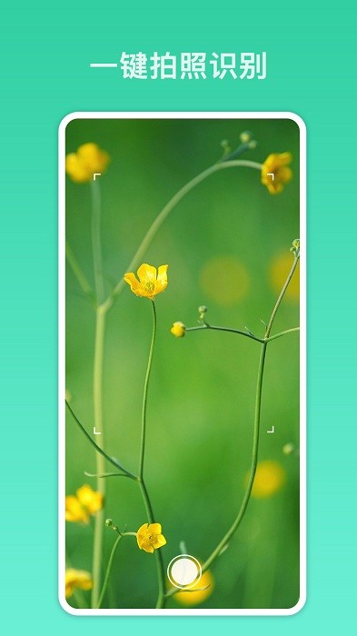 拍照识别君app截图1
