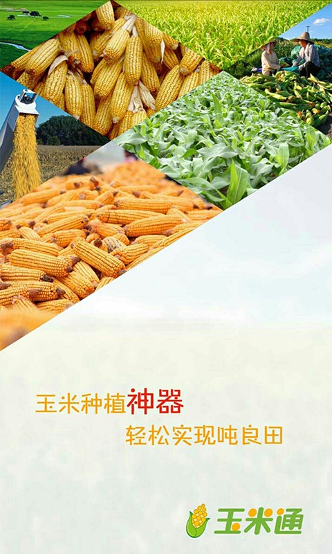 玉米通截图1