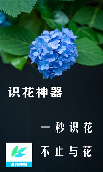 识花神器app截图1