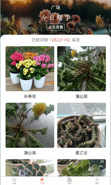 识花神器app截图2