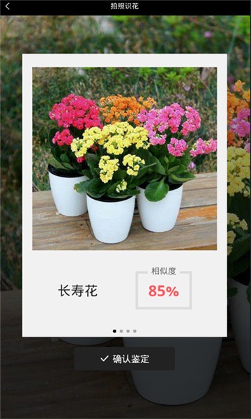 识花神器app截图4