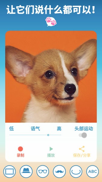 我的宠物会说话免费版截图1