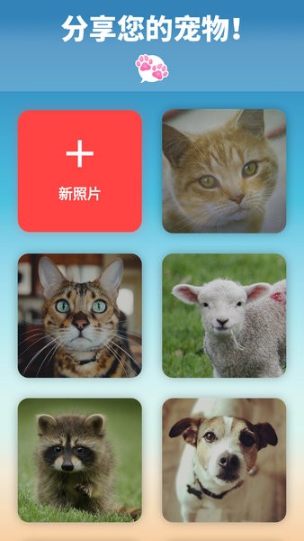我的宠物会说话免费版截图3