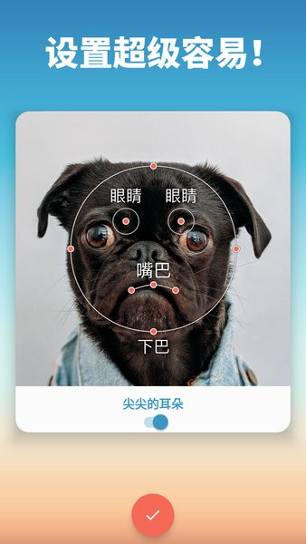 我的宠物会说话免费版截图4