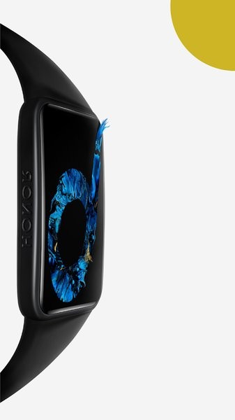 honorband6手环app截图2