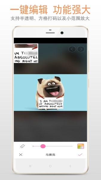 马赛克打码专家app截图2
