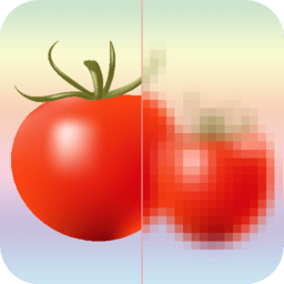 马赛克打码专家app