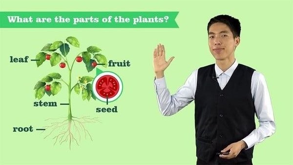 VIPChild少儿国际班教学截图2