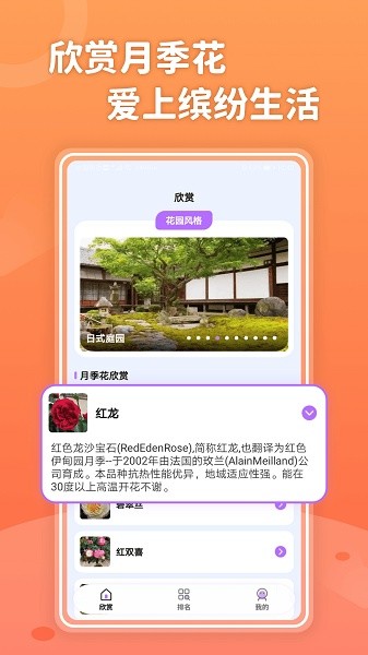 小小花园软件截图4