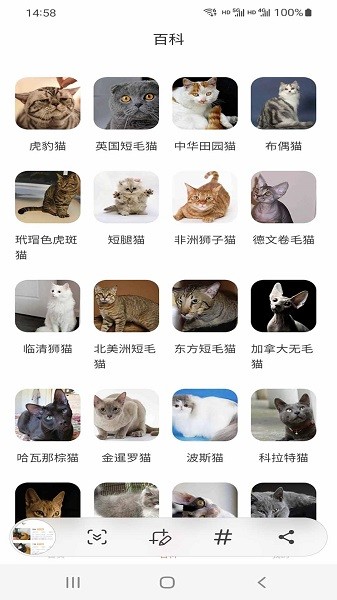 小猫先生软件手机版下载