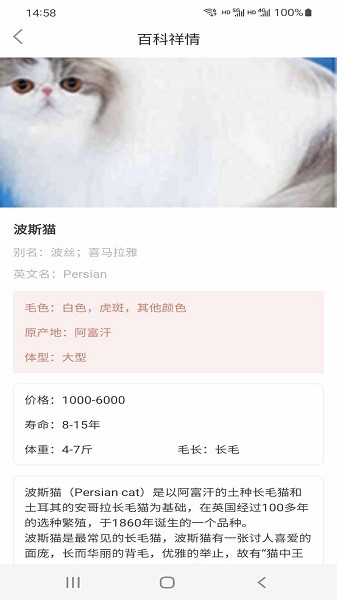 小猫先生软件app截图1