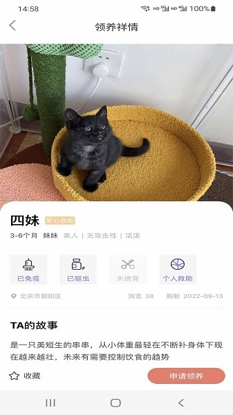 小猫先生软件app截图4