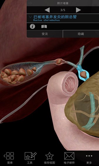 3D生理和病理学中文版