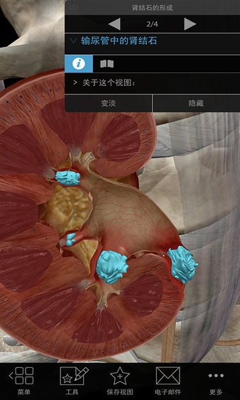 3D生理和病理学最新版本截图4