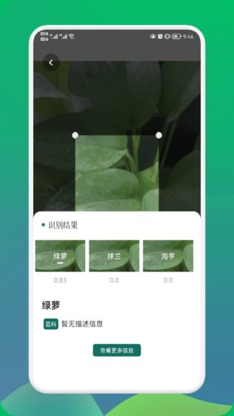 小园丁识别植物截图1
