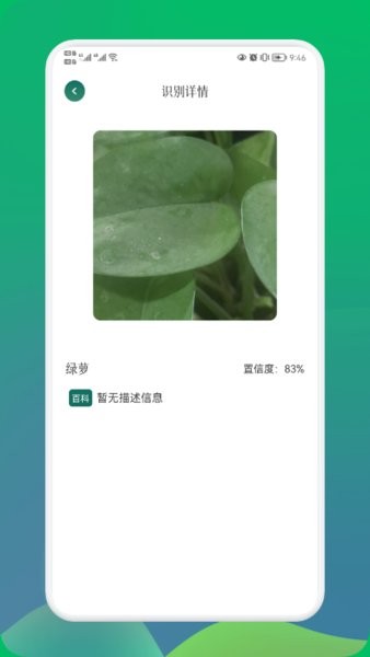 小园丁识别植物截图2