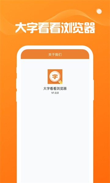 大字看看浏览器软件截图2