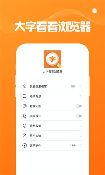 大字看看浏览器软件截图4