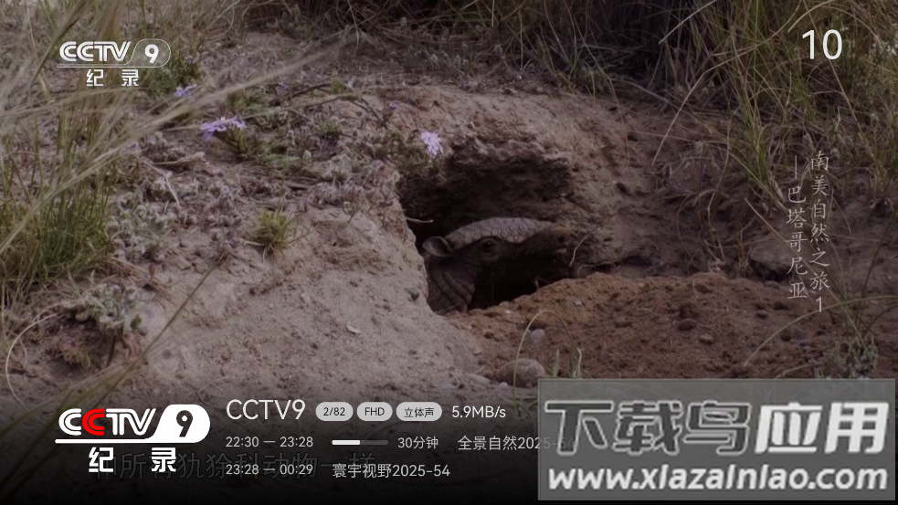 小飞电视超清版app截图4