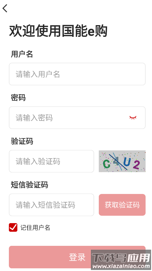 国能e购app截图1