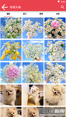 Twilight暮光app最新版截图4