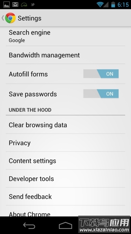 chrome浏览器截图4