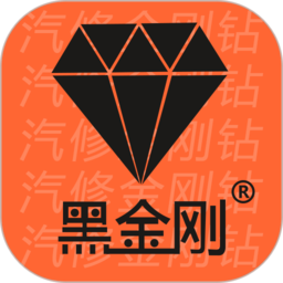 金奔腾黑金刚C汽车诊断