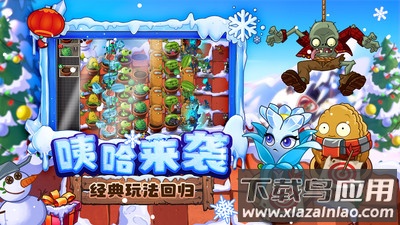 植物大战僵尸2下载安装正版2024截图2
