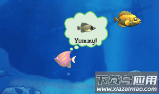 吞食鱼(Feeding Frenzy)