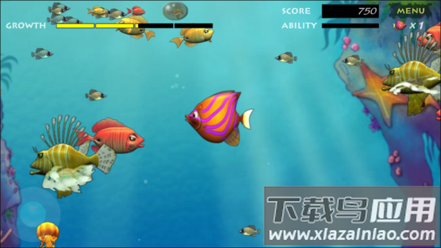 吞食鱼(Feeding Frenzy)截图4