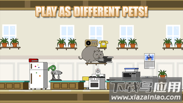 小笨猫最新版截图2